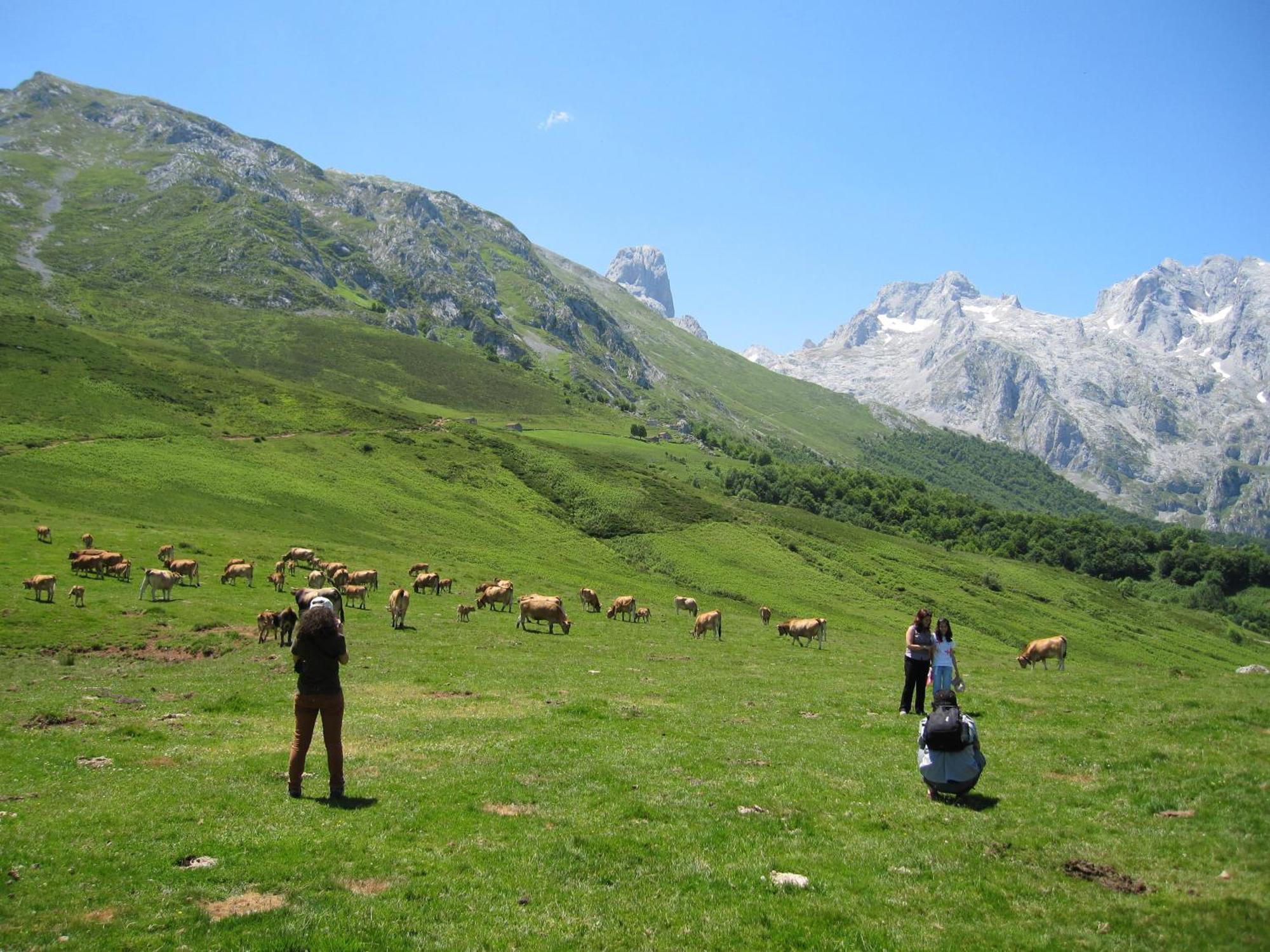 Hosteria Picos De Europa โปเตส ภายนอก รูปภาพ