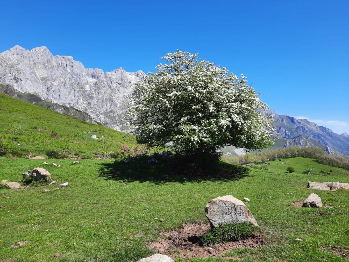 Hosteria Picos De Europa โปเตส ภายนอก รูปภาพ
